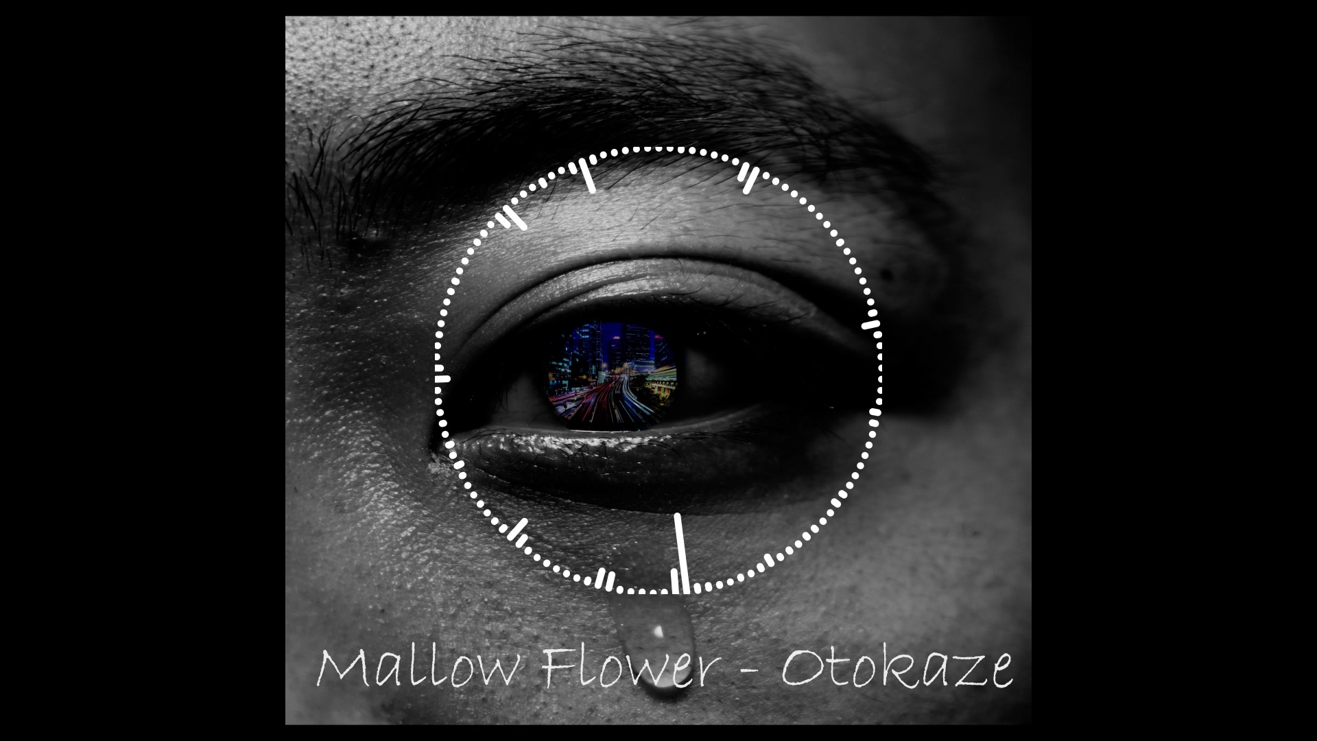 【一个人的音乐电台】【致郁系】《mallow flower》——otokaze【14】