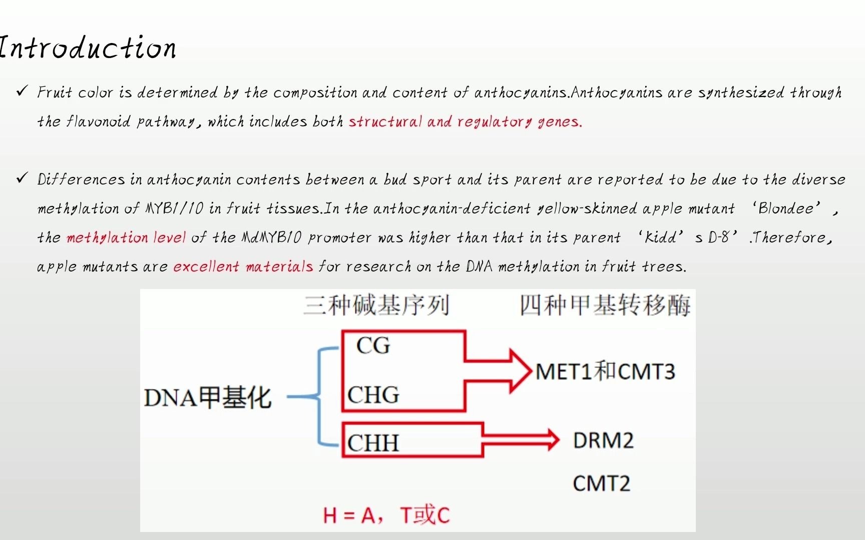 16分钟讲解Plant Biotechnology Journal高分文章 苹果DM途径介导MYB1基因座甲基化调控花青苷生物合成哔哩哔哩bilibili