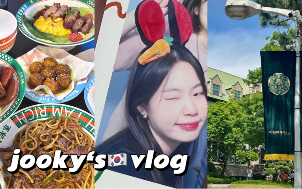 韩国留学VLOG|和梨大菜鸟研究生一起准备最后一个期末发表吧~哔哩哔哩bilibili