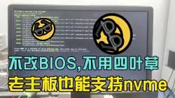 Download Video: 不改BIOS，不用四叶草，老主板也能支持nvme