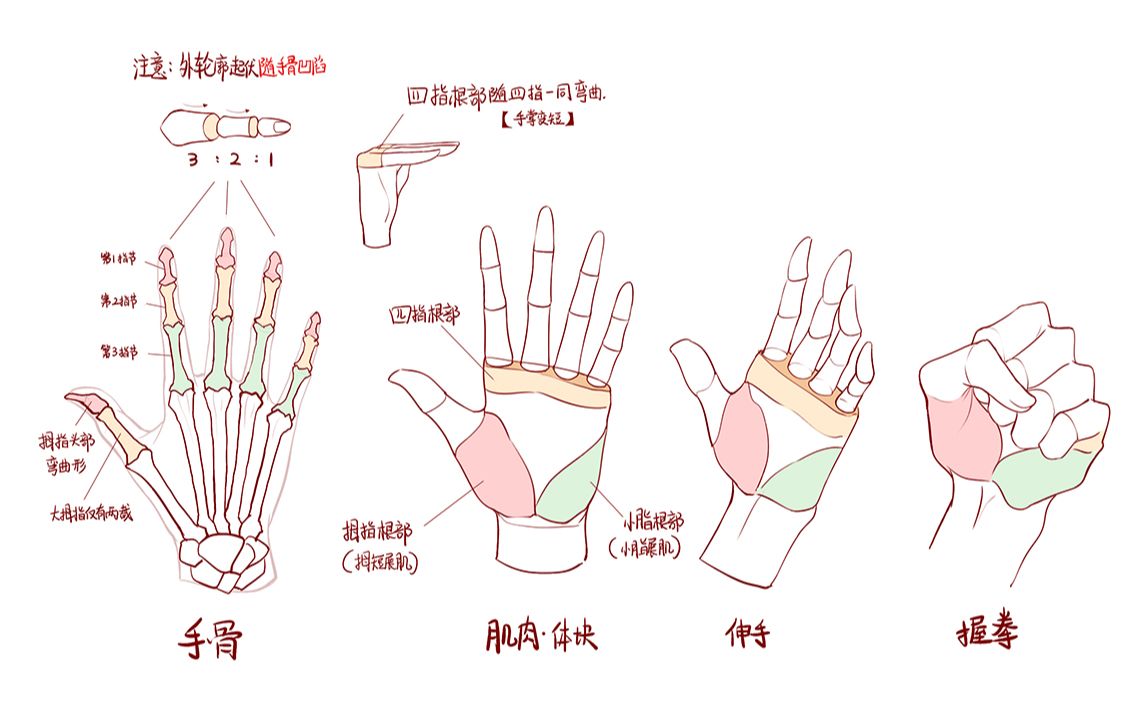 【4.手足篇】你老婆们的足手怎么画?在这里教会你——二次元手足详细讲解【基础五部曲之四ⷮŠ手足】哔哩哔哩bilibili