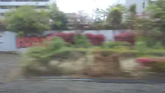 E259系成田エクスプレス 哔哩哔哩 Bilibili