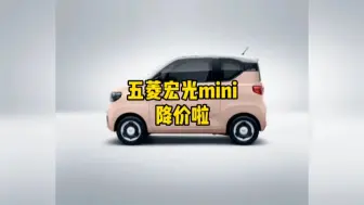 Download Video: 五菱宏光mini降价了