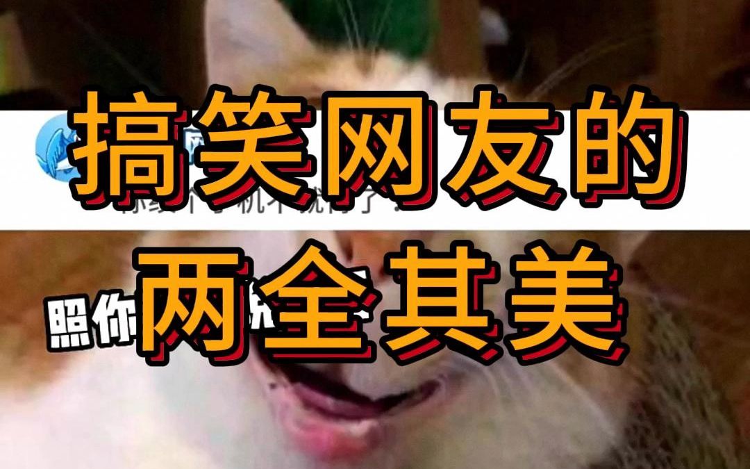 搞笑网友的两全其美哔哩哔哩bilibili