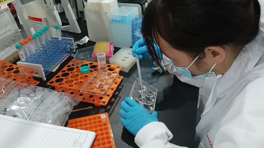抗体定制：生物科研的导航灯