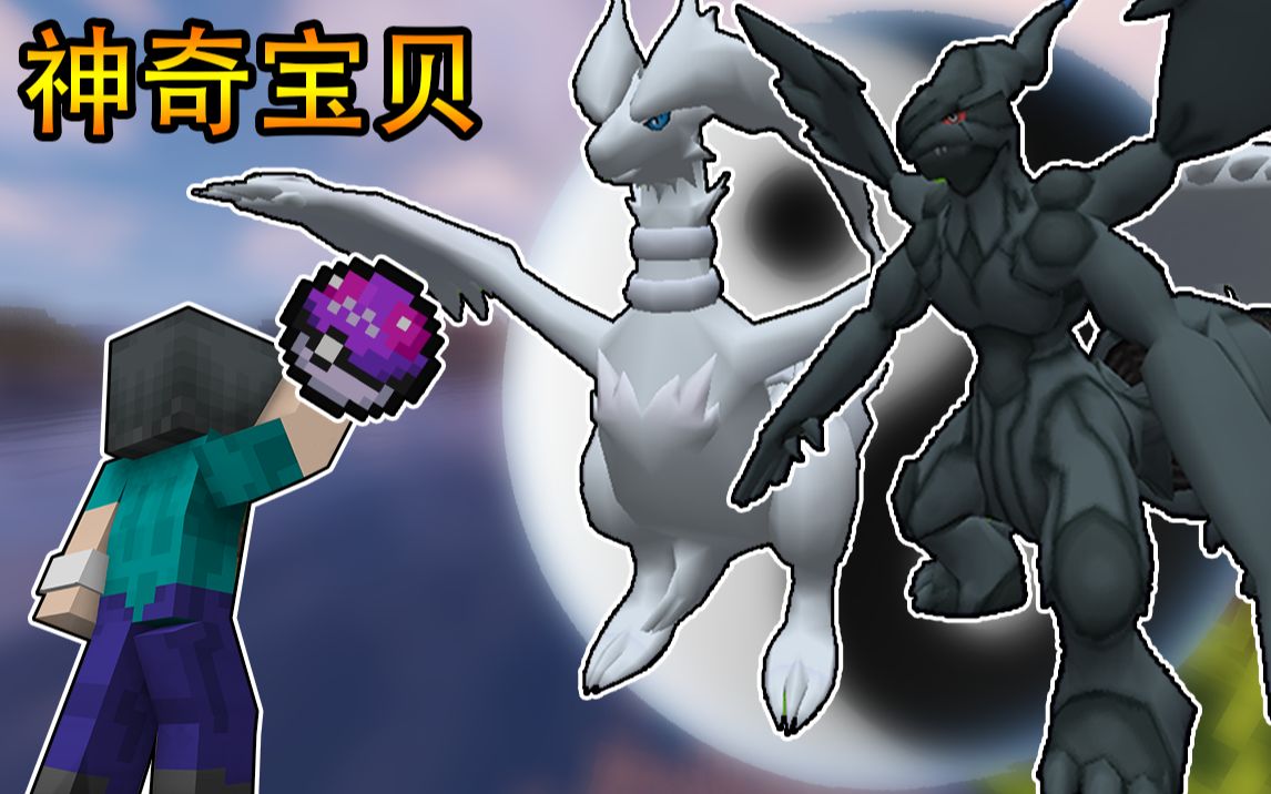 神奇宝贝二十五耗时十五个小时成功捕获黑龙白龙