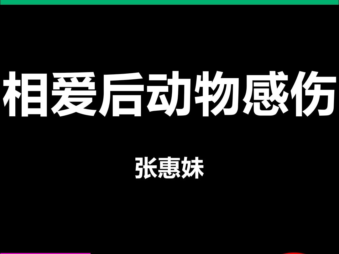 相爱后动物感伤张惠妹动态歌词排版字幕led大屏幕酒吧vj视频素材#动态