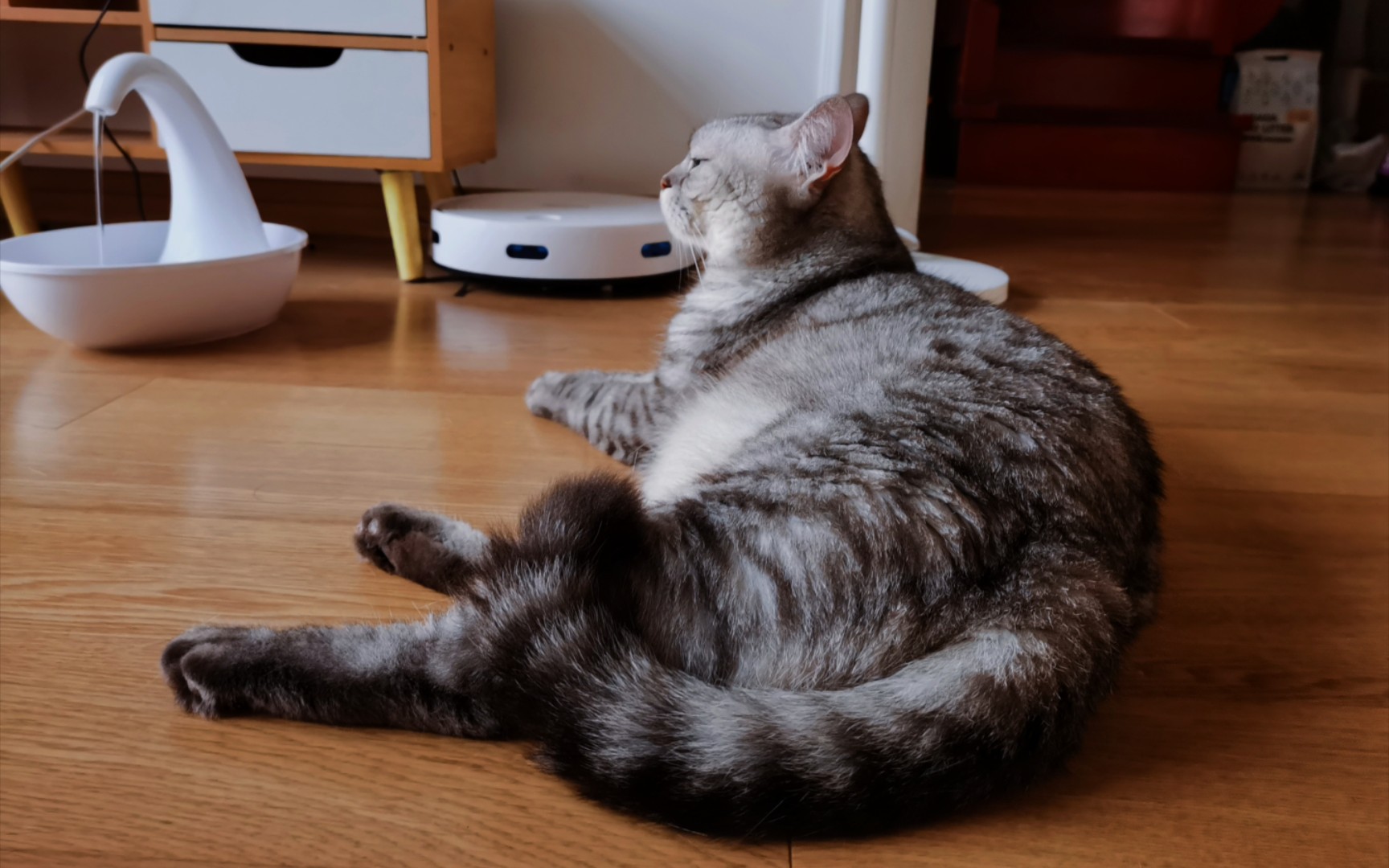 成熟strong的咪咪