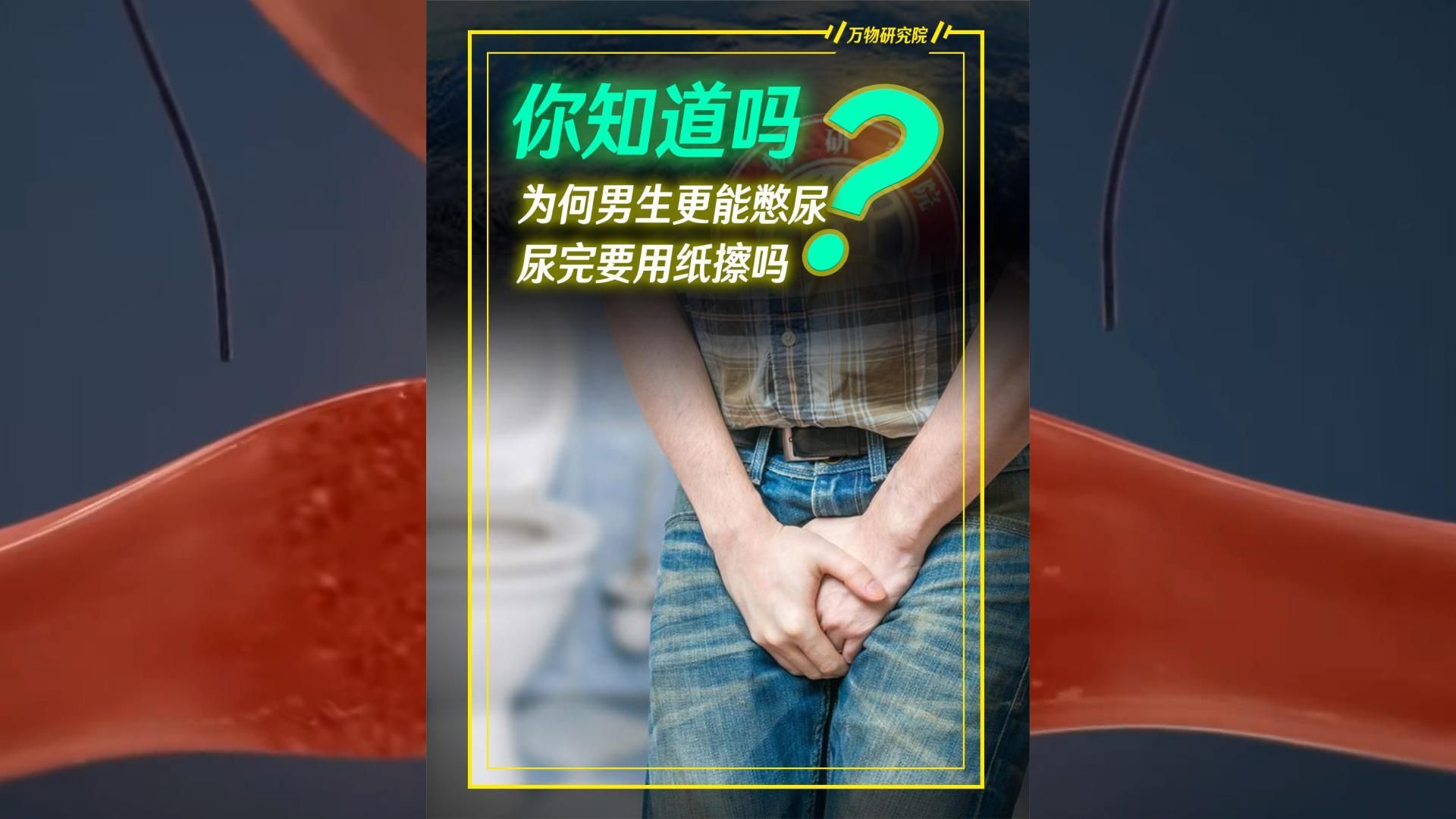 为何男性比女性更能憋尿?女性小便后要用纸擦吗?哔哩哔哩bilibili