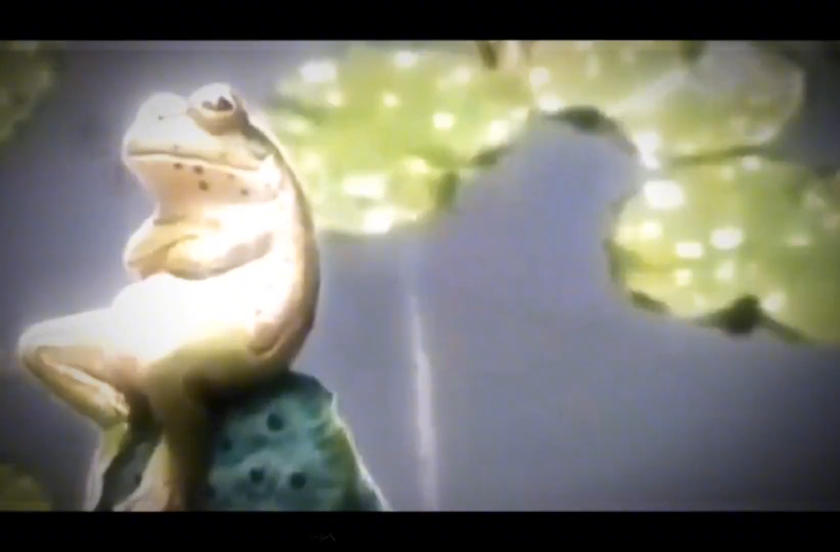 青蛙坐莲观天,故人望月思人