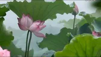 2011年的长沙民政学院笃行湖之夏