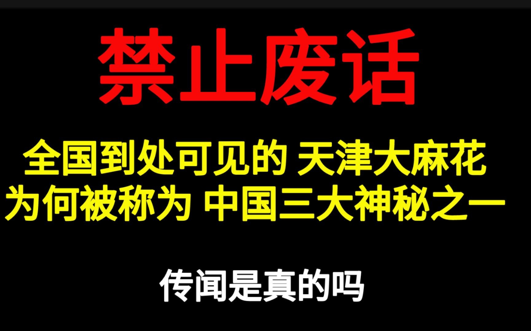 禁止废话:全国到处可见的天津大麻花,为何被称为中国三大神秘之一,传闻是真的吗哔哩哔哩bilibili