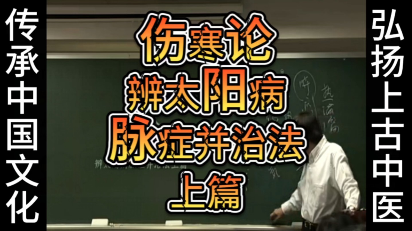 《人纪》伤寒论辨太阳病脉症并治法上篇哔哩哔哩bilibili