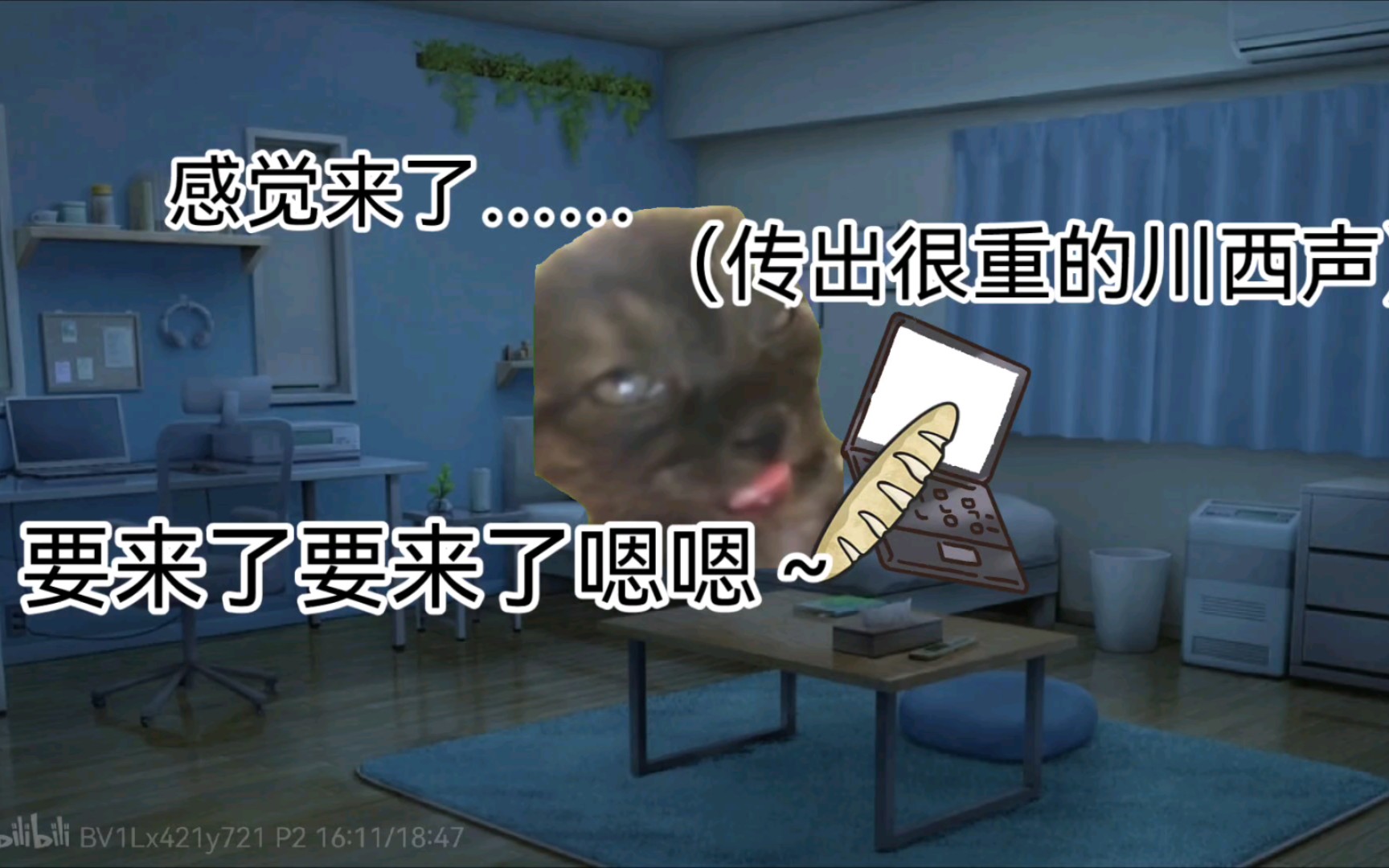 【猫meme】晚上偷偷看篇被爸爸发现……哔哩哔哩bilibili