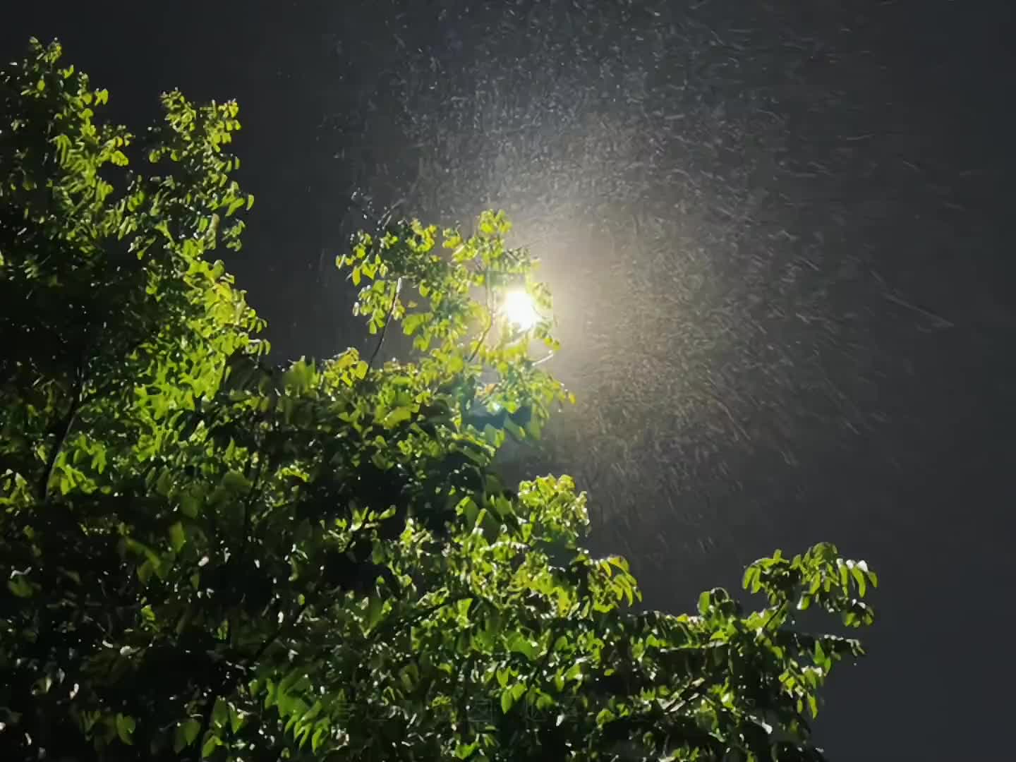 路灯下两个人一个是我另一个是我的影子周杰伦瓦解