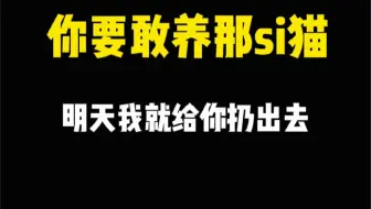 当我报复性养猫之后