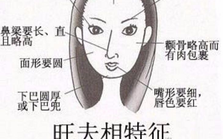 【历史】十二生肖中最旺夫的女子前五名,值得收藏,看看有你或者你媳妇吗?哔哩哔哩bilibili