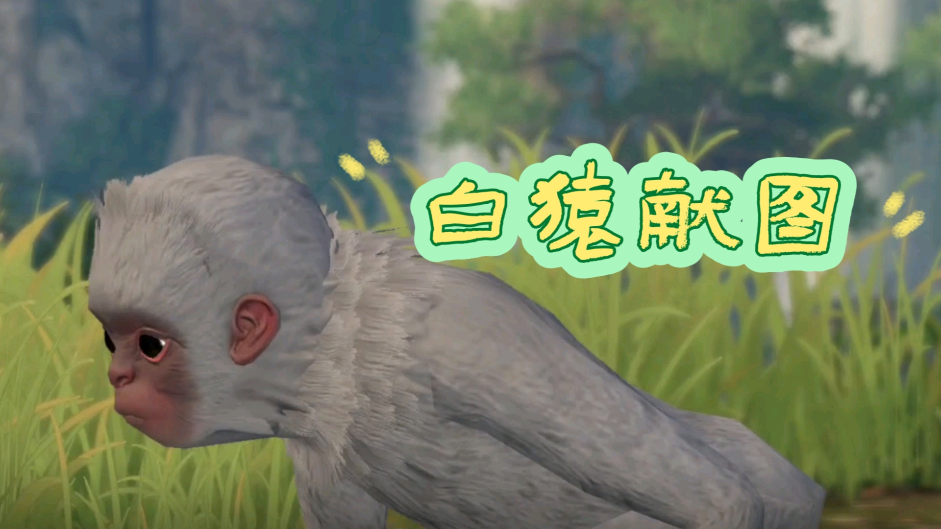 白猿献图(奇遇 大吉)