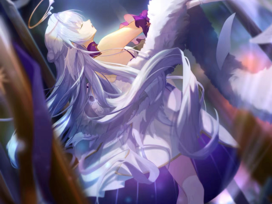 鸡翅膀女孩知更鸟