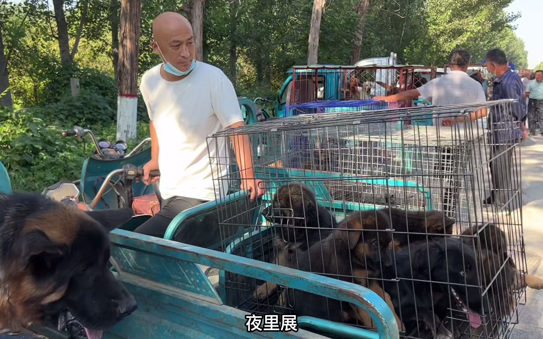 大哥养狗太痴迷,狗场就是家,媳妇儿都不让回家,太如不容易_哔哩哔哩_bilibili