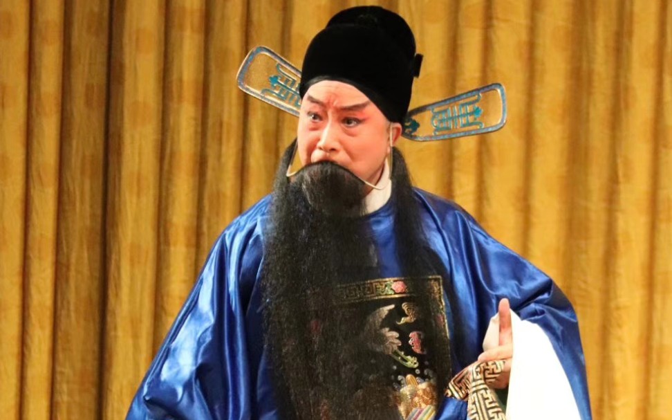 陈少云老师打严嵩嘉靖爷坐江山风调雨顺原板