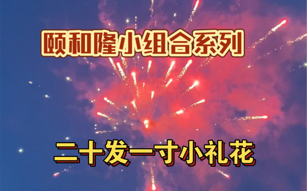 颐和隆烟花小组合25发,炸花效果一如既往的好哔哩哔哩bilibili