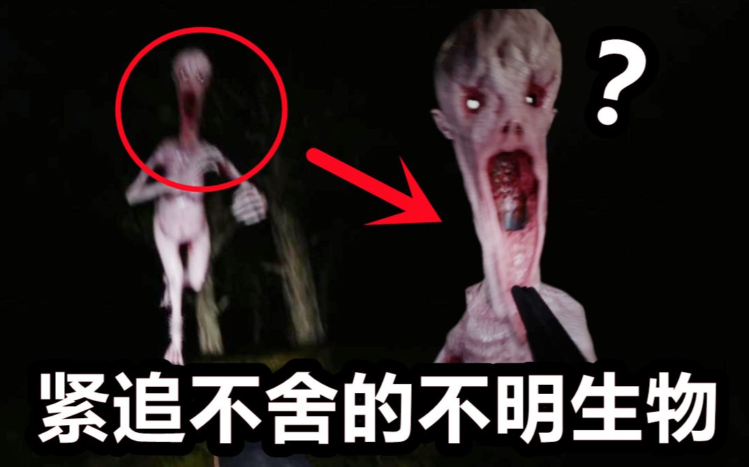 [图]深夜阴间探险!主角作大死被诡异生物狂追？！《Horror Record》