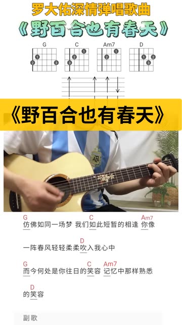 歌曲野百合也有春天(歌曲野百合也有春天视频)