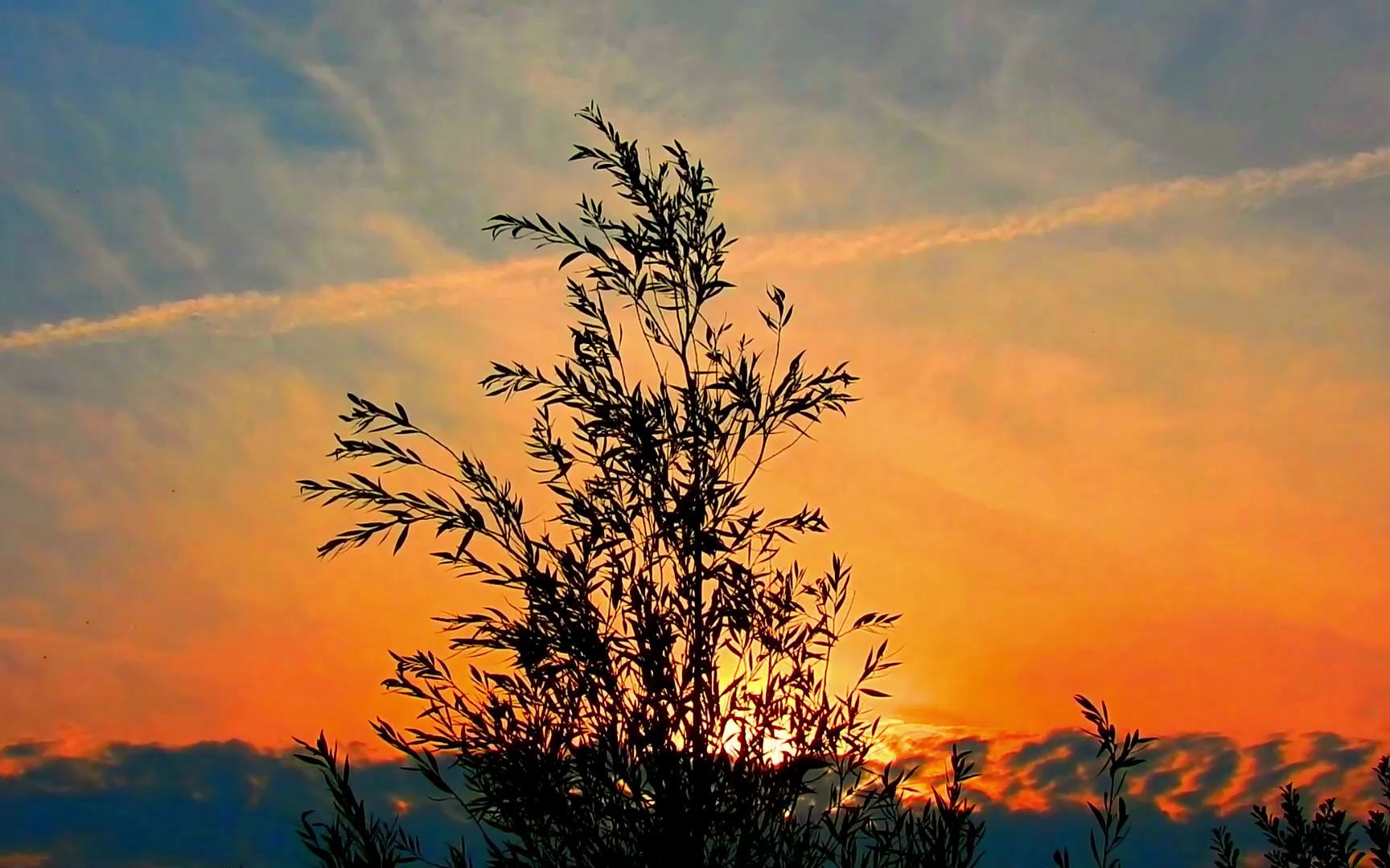 [图]治愈系夕阳日落美景视频素材