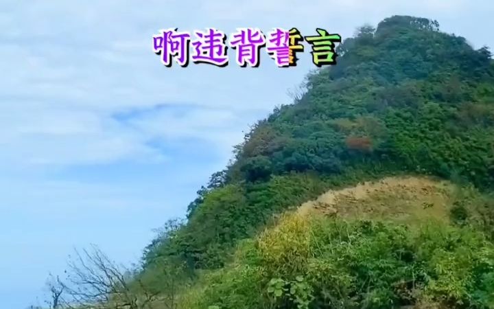 『乡村风光』美丽大山里的风景哔哩哔哩bilibili