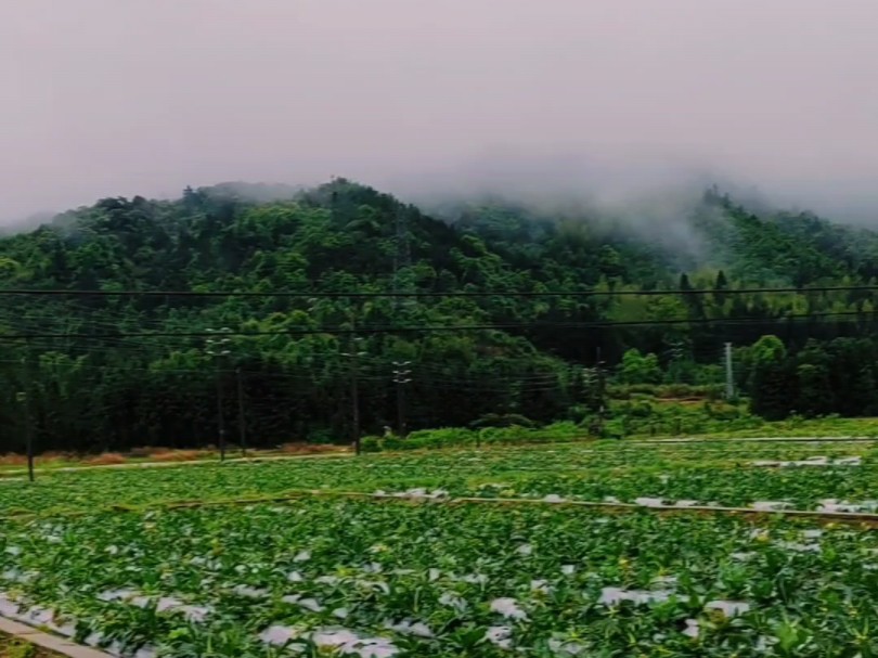 宁静又美丽的洛阳镇|广东乳源瑶族自治县
