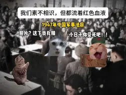 Download Video: 京字第一号罪证