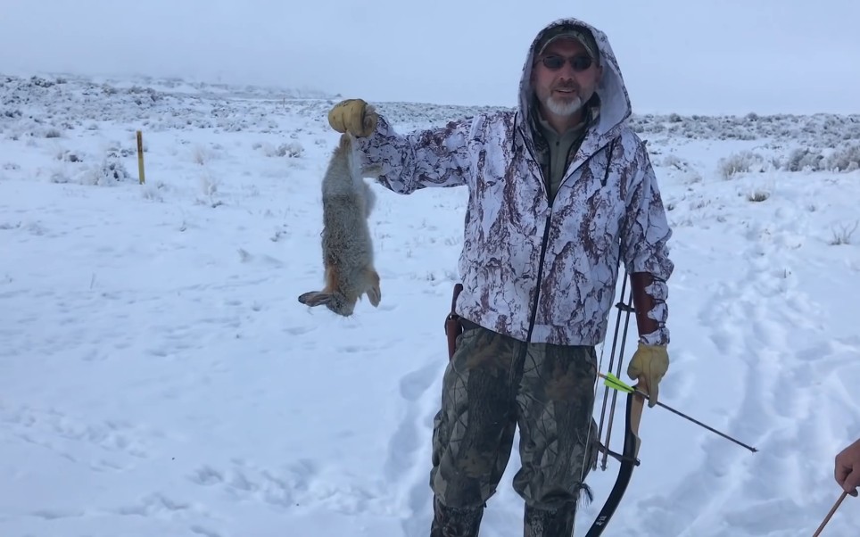 长弓狩猎野兔射的有点准