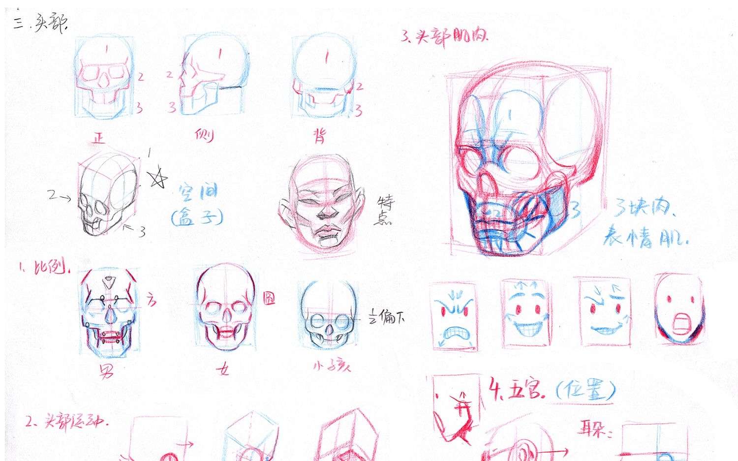 【零基础学人体】如何理解分析人物的五官哔哩哔哩bilibili