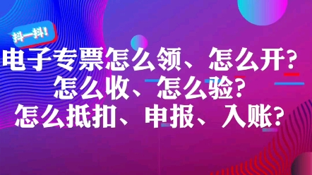 电子专票怎么领、怎么开?怎么收、怎么验?怎么抵扣、申报、入账?哔哩哔哩bilibili