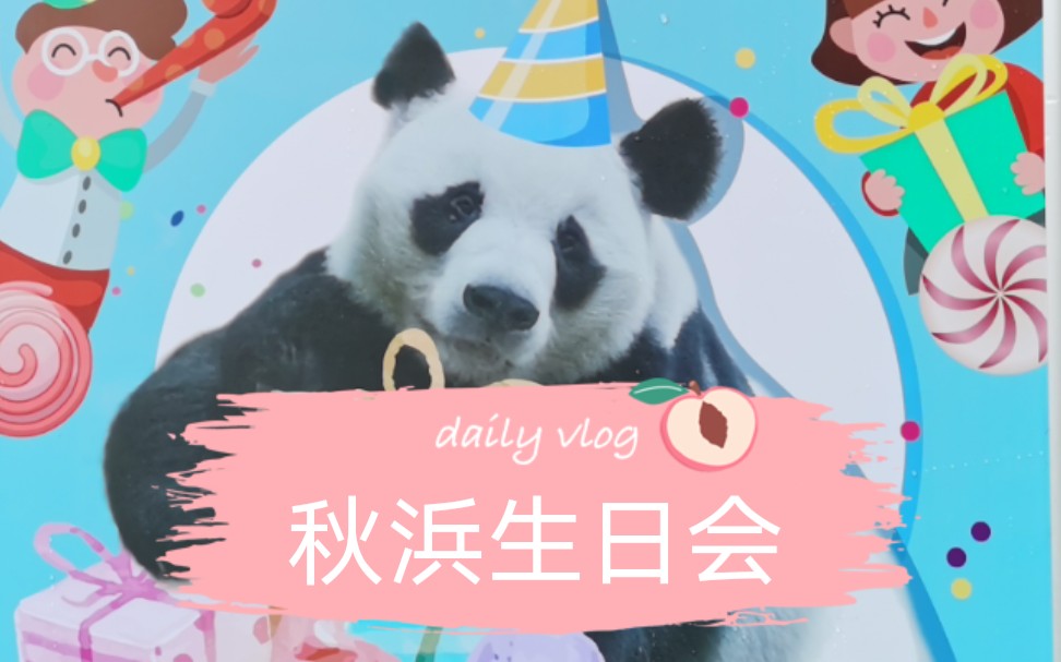 【熊猫】秋浜十七岁生日会现场报道,快来送上您的生日祝福哦_哔哩哔哩