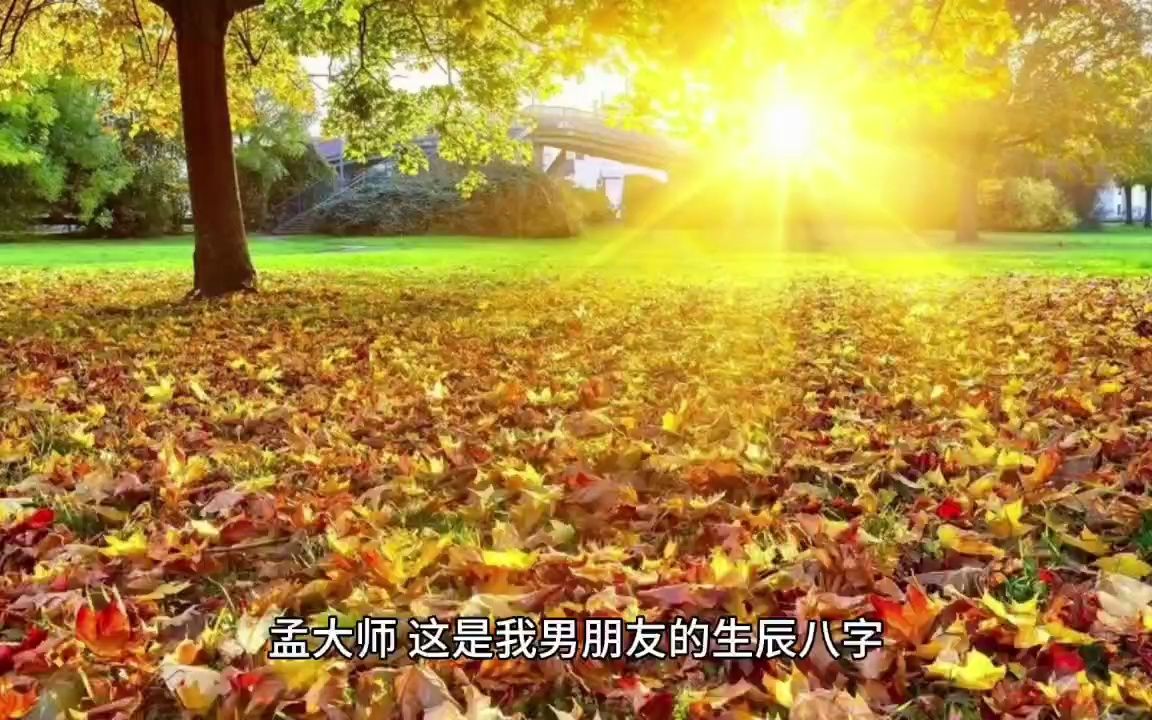 [图]《摆脱恋爱脑后，真千金她成了玄学大佬》孟婴宁周南聿小说全文