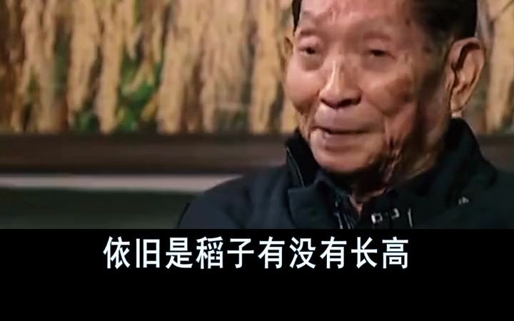 [图]天下乘凉梦，一梦逐一生，悄然间，您已走了这么久了