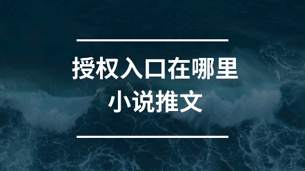 小说授权入口在哪里?小说推文平台选择.哔哩哔哩bilibili