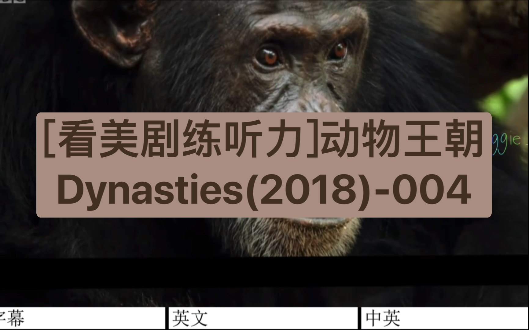 [图][看美剧练听力]动物王朝Dynasties(2018)-004