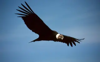 印地安民歌 搜索结果 哔哩哔哩 Bilibili 印地安民歌 搜索结果 哔哩哔哩 Bilibili