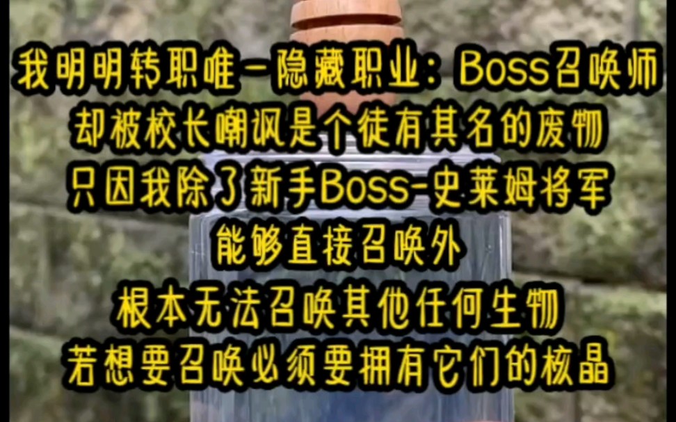 [图]《召唤老板》我明明转职隐藏职业：Boss召唤师，却被校长嘲讽是个徒有其名的废物，只因我除了新手Boss-史莱姆将军能够直接召唤外，根本无法召唤其他任何生物……