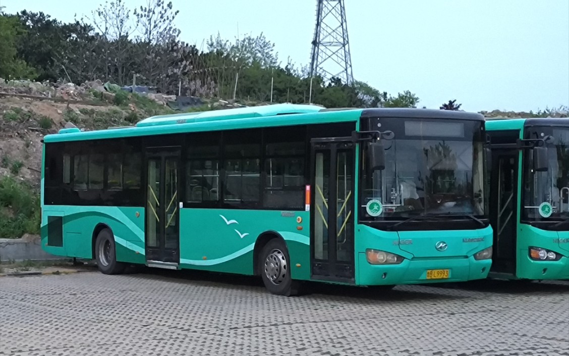 青岛真情巴士集团 海格klq6128gc 鲁bl9553号车