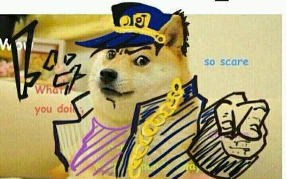 角色表演赛15P:神烦狗doge篇哔哩哔哩bilibili