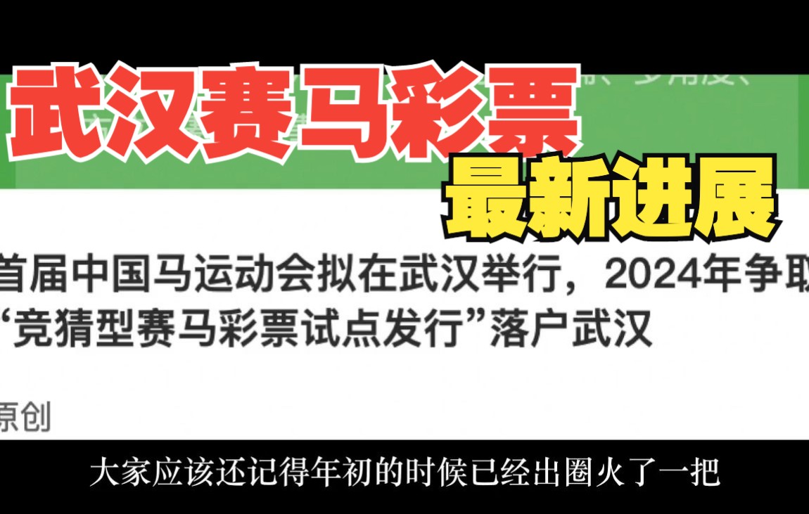 “武汉赛马彩票”有新消息了:这次内容更丰富,却完全没有热度了……哔哩哔哩bilibili