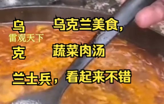 “乌克兰士兵战地制作美食,蔬菜肉汤,看起来不错”哔哩哔哩bilibili