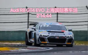 下载视频: Audi R8 GT4 EVO 上海国际赛车场 2'14.44