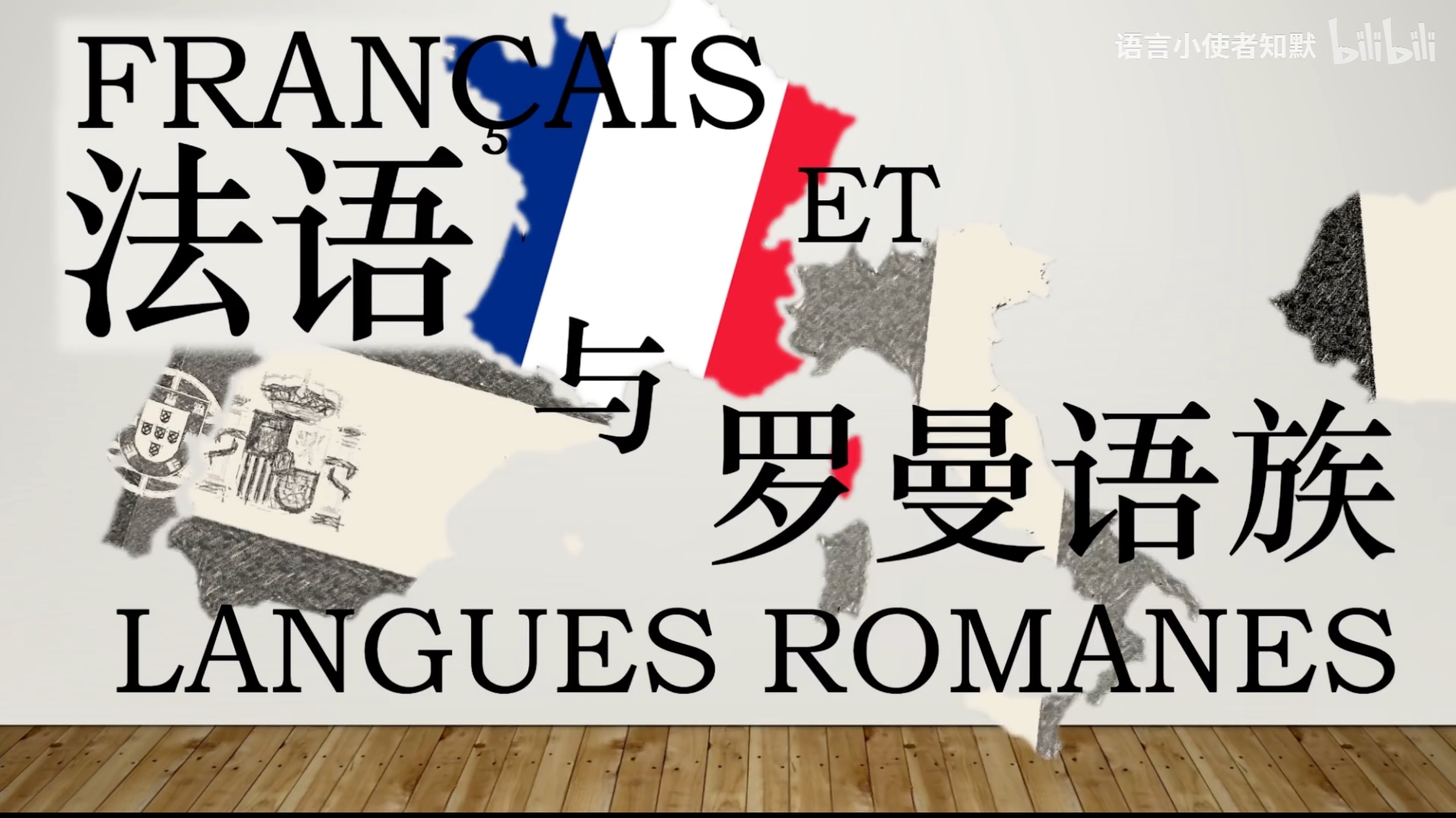 拉丁语竟然还没死?母语者全球第二多?罗曼语族|法语简史哔哩哔哩bilibili