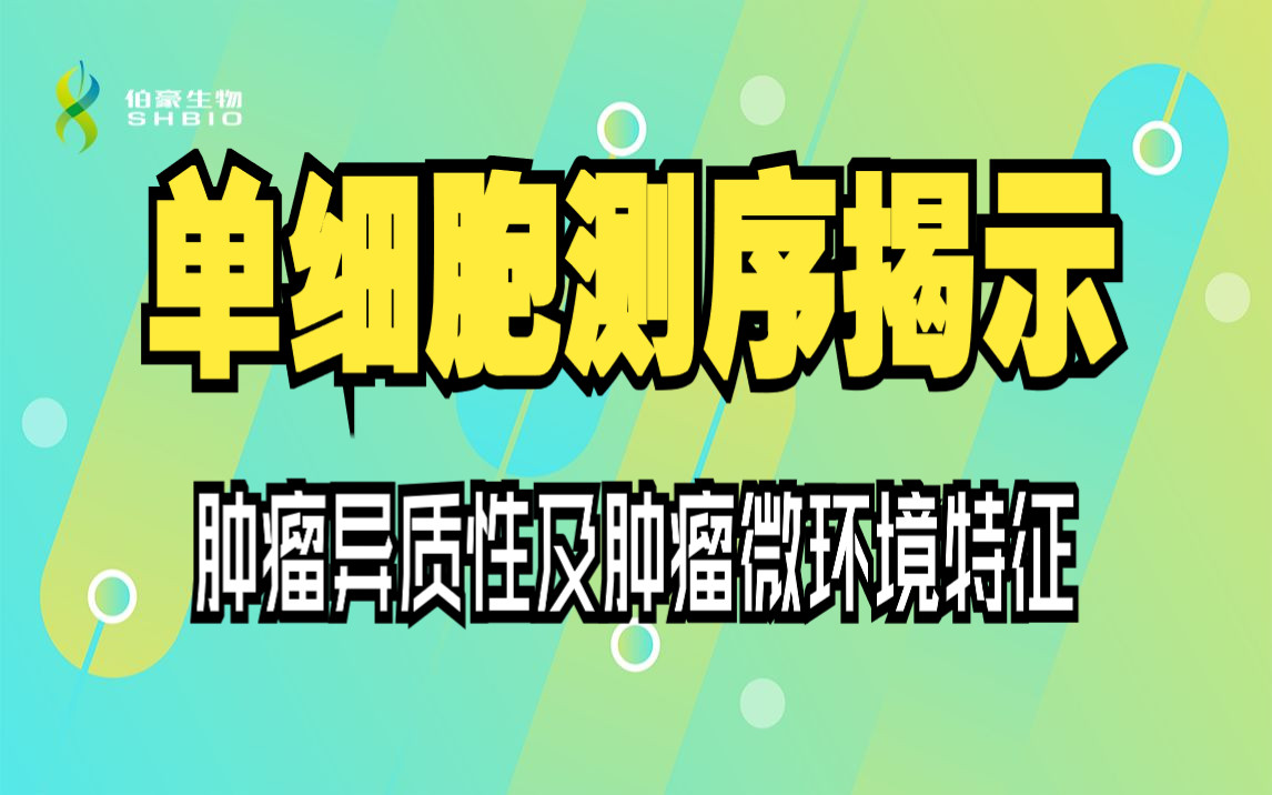 【文献一作分享会】造釉细胞型颅咽管瘤单细胞测序揭示肿瘤异质性及肿瘤微环境特征伯豪生物哔哩哔哩bilibili