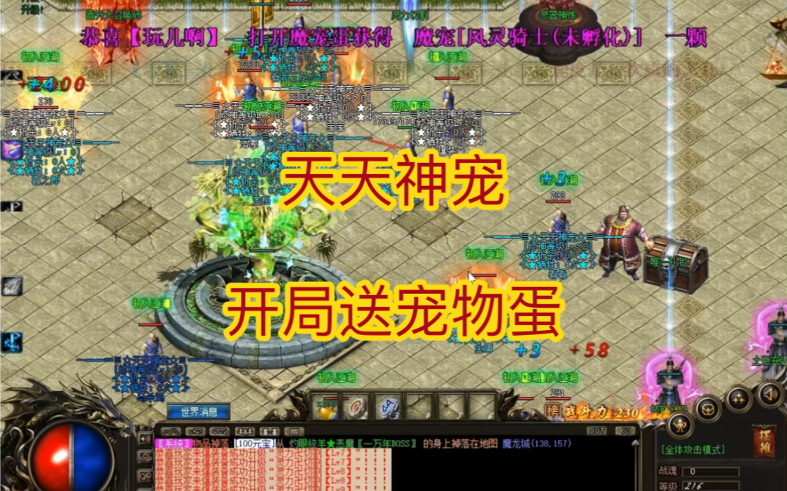 哈希娱乐- 哈希游戏平台- 哈希游戏官方网站宠物狗的品种有哪些？ 很小的宠物狗有哪些品种？